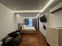 Seletar Hills Estate (D28), Semi-Detached #580589431
